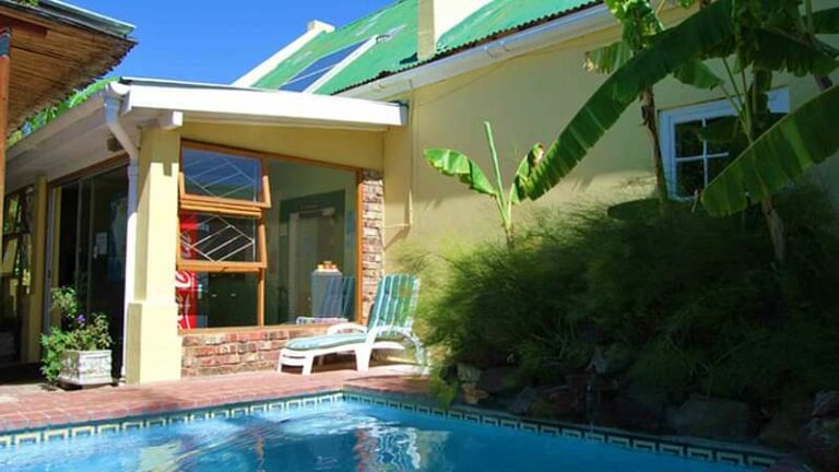 2 Day Ultimate Wildlife Safari Budget Garden Route Adventure